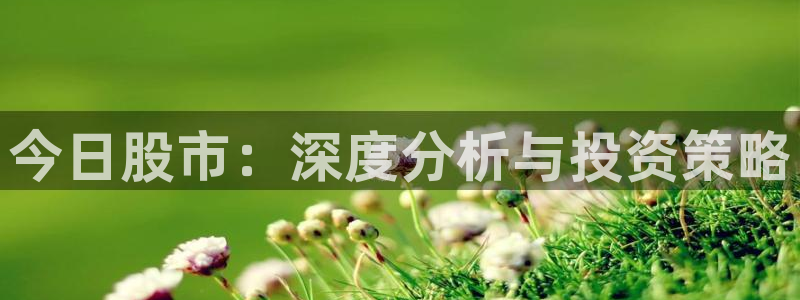 今日股市：深度分析与投资策略